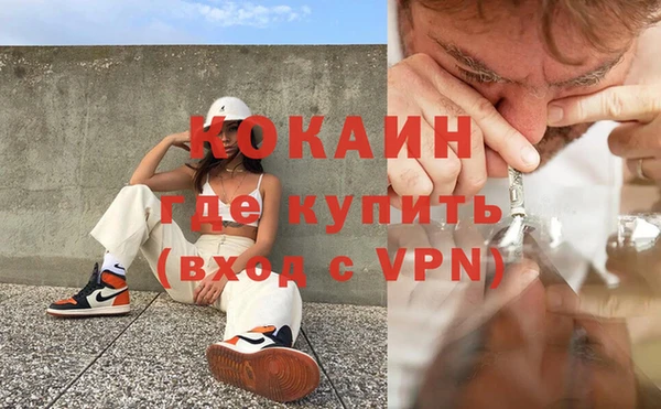 шишки Абаза