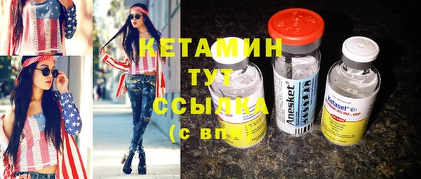 шишки Абаза