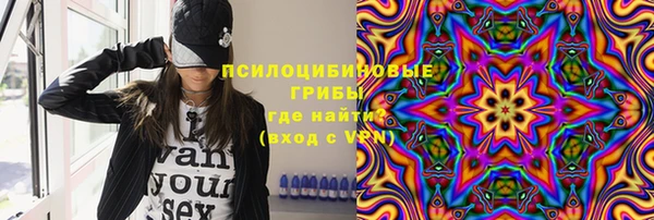 шишки Абаза