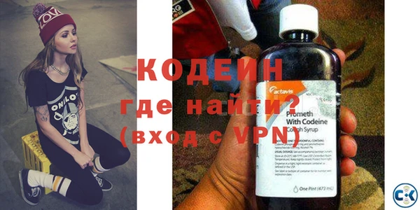 шишки Абаза