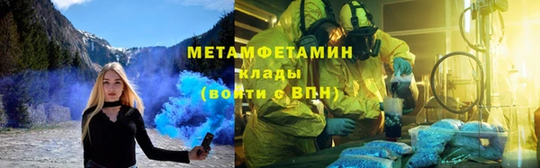 шишки Абаза