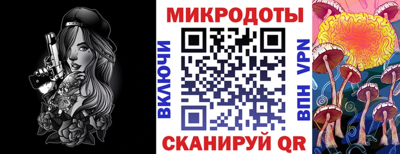 магазин продажи   Котовск  Псилоцибиновые грибы Psilocybe 